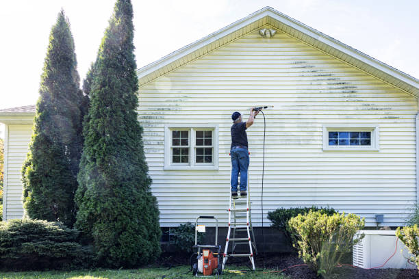 Best Graffiti Removal  in Nice, CA